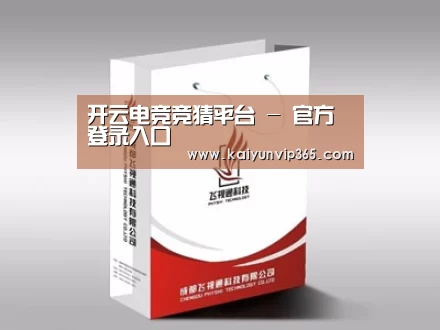 项目名称十三