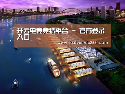 案例展示八