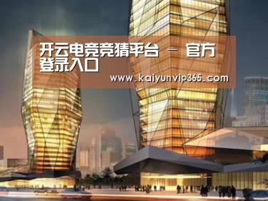 案例展示三