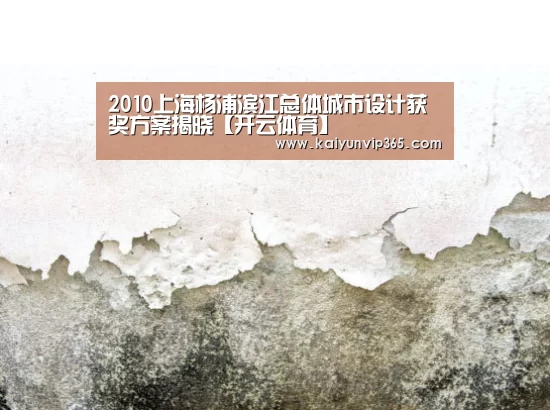 2010上海杨浦滨江总体城市设计获奖方案揭晓【开云体育】(图1) 开云赛事