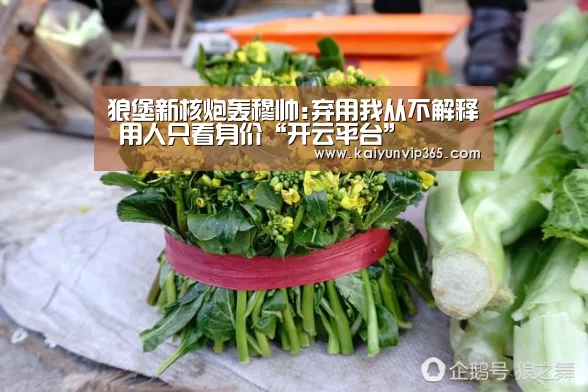 开云视讯