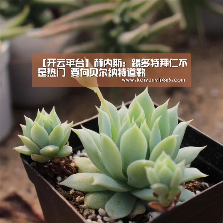 【开云平台】赫内斯:踢多特拜仁不是热门 要向贝尔纳特道歉(图1) 开云平台