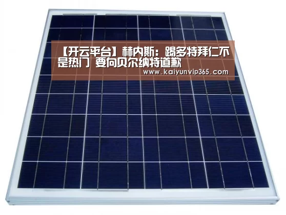 【开云平台】赫内斯:踢多特拜仁不是热门 要向贝尔纳特道歉(图2) 开云赛事