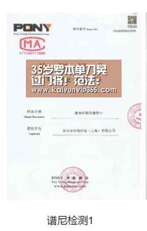 35岁罗本单刀晃过门将!范法:不明白他为什么退役,踢荷甲还能是MVP|开云视讯(图3) 开云视讯